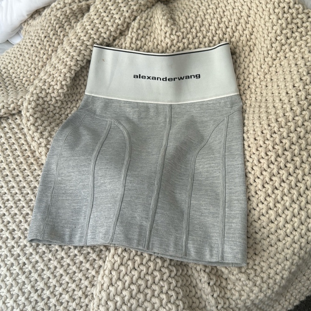 Authentic Alexander Wang Skirt